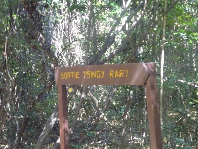 分けれ道の標識（ツインギーに進みます。）