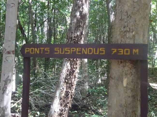 吊橋まで７３０ｍです。