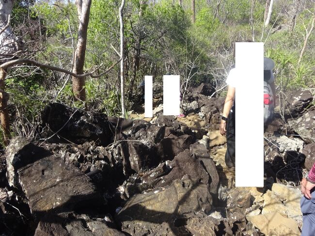 岩の道を進みます。