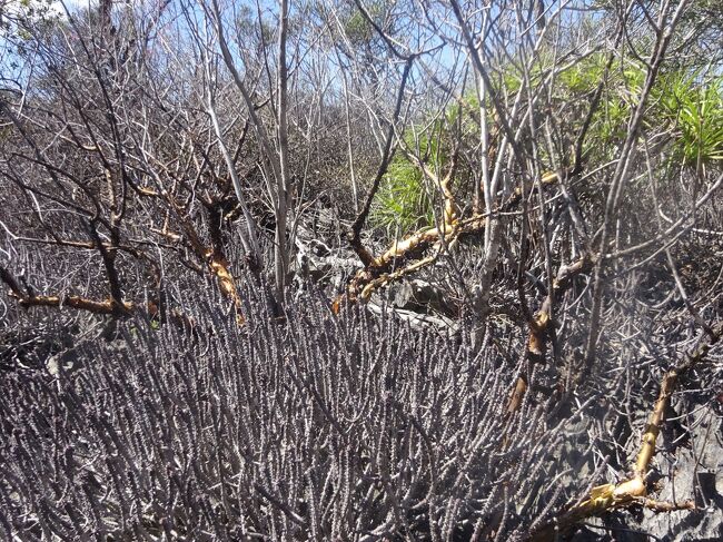 周囲の木々も変わります。