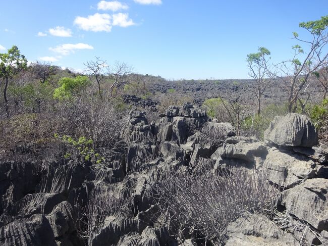 段々、岩の先端が鋭くなる所もあり、気を付けて歩きます。