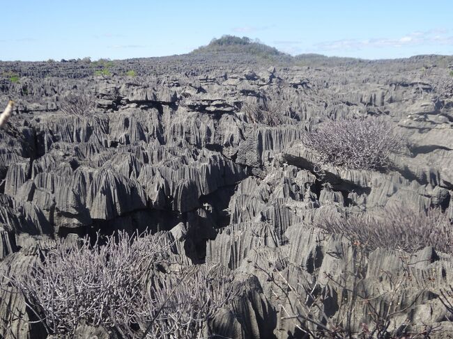 周囲のツィンギー
