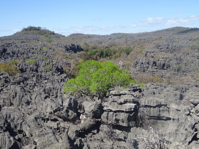 周囲のツィンギー