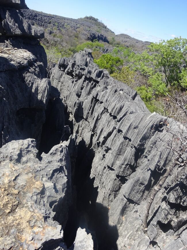 吊橋の上より下を見ます。（結構、揺れます。）