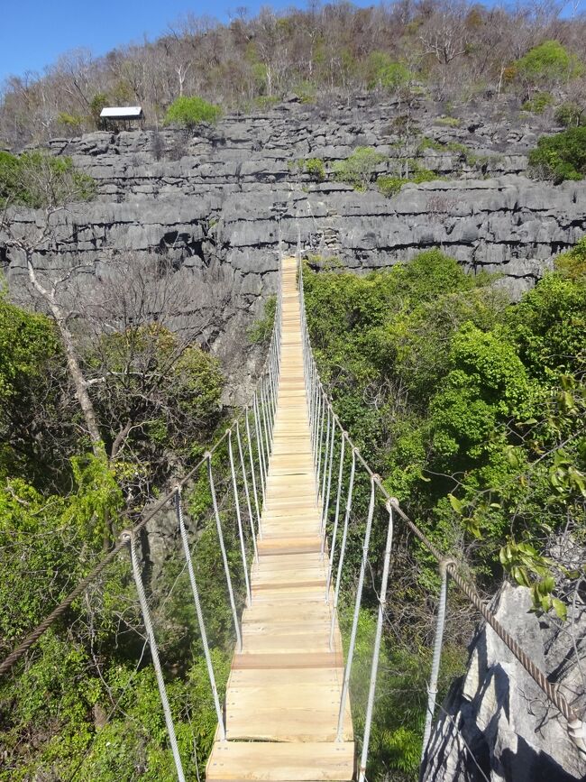 ツィンギーの吊橋（ここまで歩き、入口に戻ります。）（ツィンギーの意味はマダガスカル語で「裸足では歩けない尖った岩」です。
