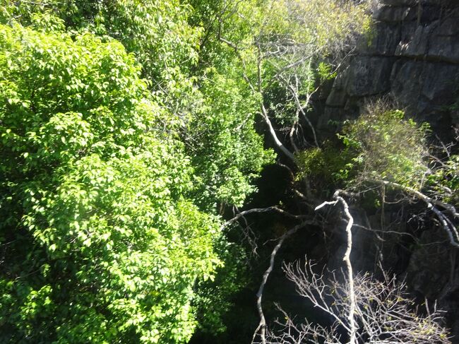 吊橋の上より下を見ます。（結構、揺れます。）