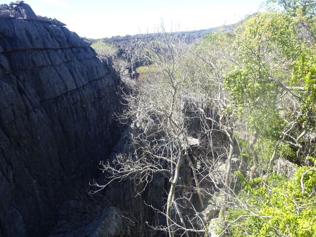 吊橋の上より下を見ます。（結構、揺れます。）