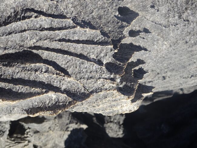 足元のツィンギー（気を付けて歩きます。）