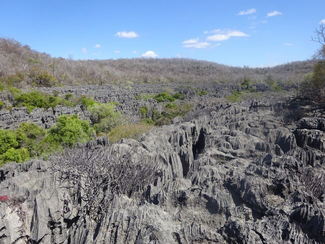 周囲のツィンギー