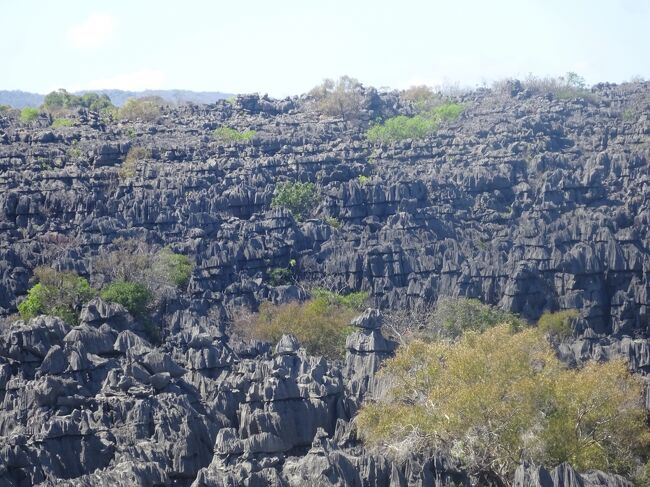 周囲のツィンギー
