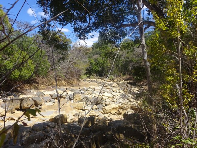 涸れ川（行きは川の反対方向を歩きました。）
