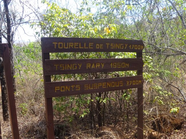 出口に向かい、車に乗ります。