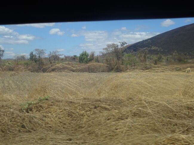 （車窓風景）焼き畑の跡が牧草になっています。