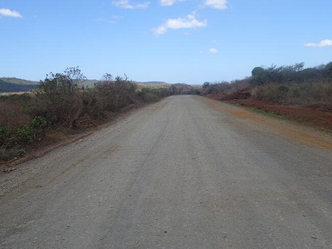 このような道をひたすら、走ります。