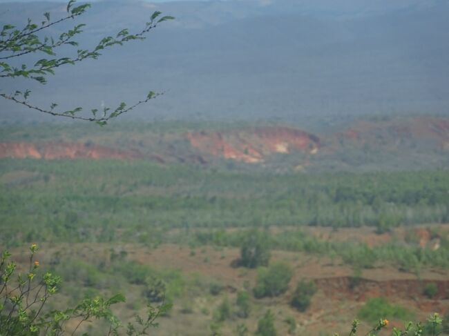 （車窓風景）レッド・ツィンギーが見えてきました。