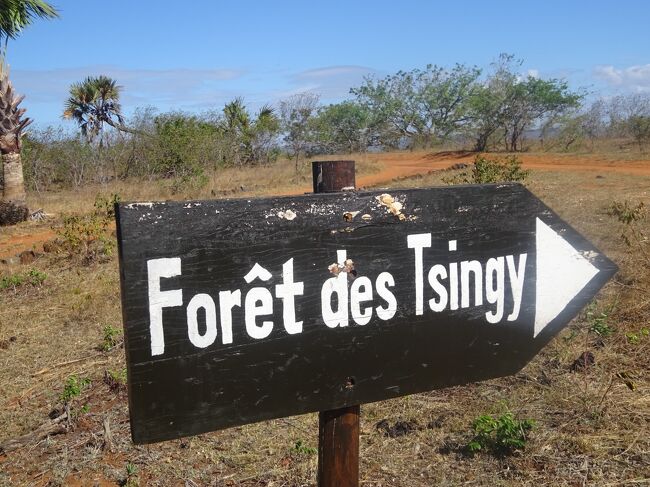 ツィンギーの入口で車を降ります。