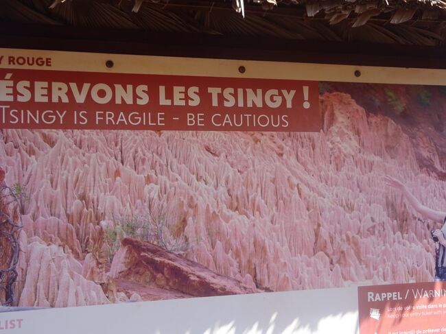レッド・ツィンギー（このレッド・ツィンギーは石灰岩でなく、鉄分やアルミの多い土が浸食された景色なのでアンカラナのツィンギーとは成り立ちが違います。先が鋭角に尖っておらず、線がなだらかです。）