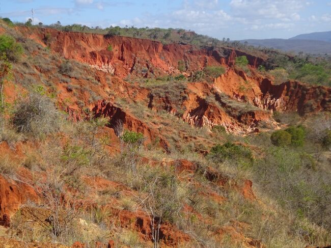 レッド・ツィンギー（そこまで歩きます。）