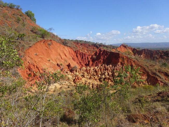 レッド・ツィンギー（そこまで歩きます。）