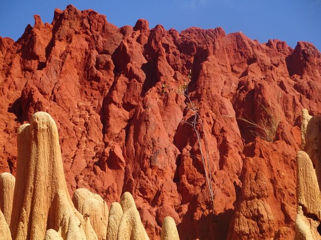 レッド・ツィンギー