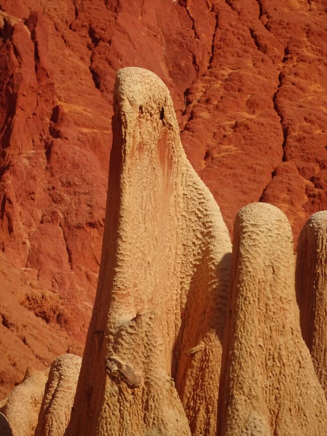 レッド・ツィンギー