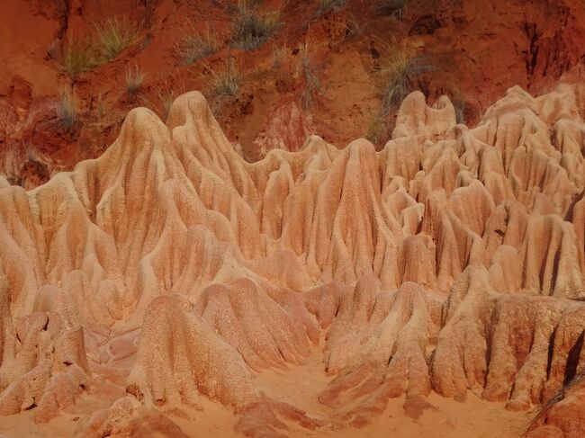 レッド・ツィンギー