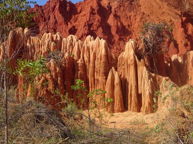 レッド・ツィンギー