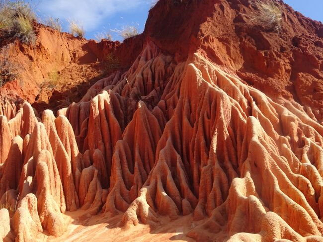 レッド・ツィンギー