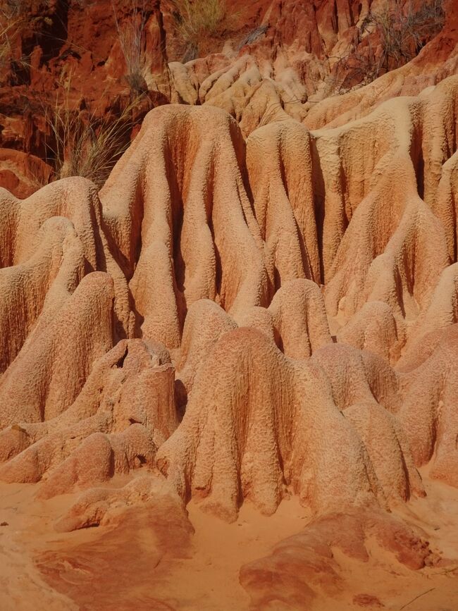 レッド・ツィンギー