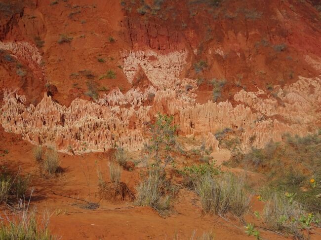 レッド・ツィンギー