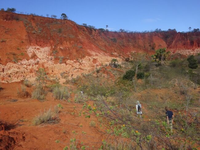 レッド・ツィンギー（全景）