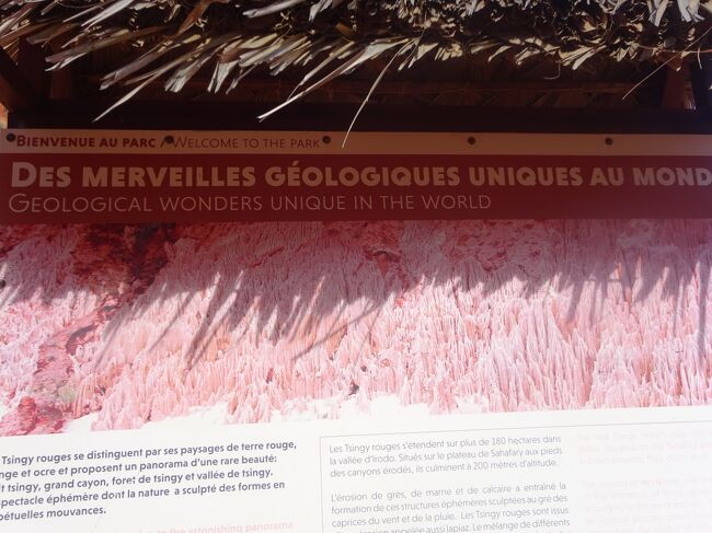 レッド・ツィンギー（説明）（このレッド・ツィンギーは石灰岩でなく、鉄分やアルミの多い土が浸食された景色なのでアンカラナのツィンギーとは成り立ちが違います。先が鋭角に尖っておらず、線がなだらかです。）