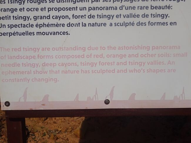 レッド・ツィンギー（説明）（このレッド・ツィンギーは石灰岩でなく、鉄分やアルミの多い土が浸食された景色なのでアンカラナのツィンギーとは成り立ちが違います。先が鋭角に尖っておらず、線がなだらかです。）