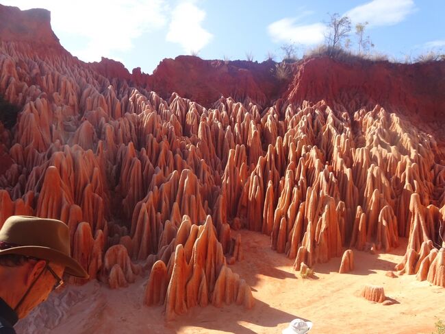 レッド・ツィンギー