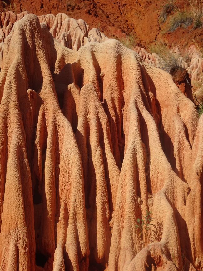 展望台からの眺め（レッド・ツィンギー）