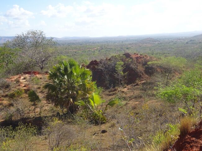 展望台からの眺め（反対側）