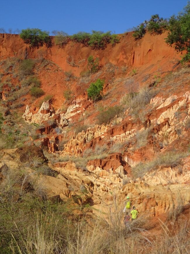 別のレッド・ツィンギー
