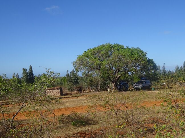 大地が平がります。（右に乗ってきた車です。）