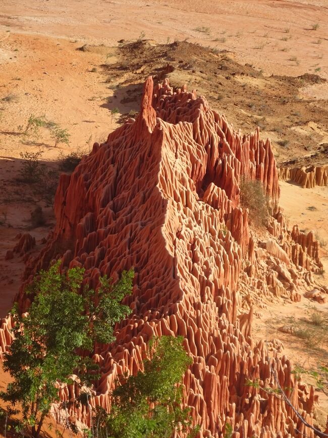 レッド・ツゥンギーを上から見ます。
