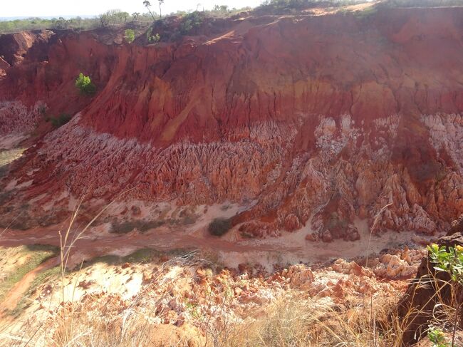 レッド・ツゥンギー