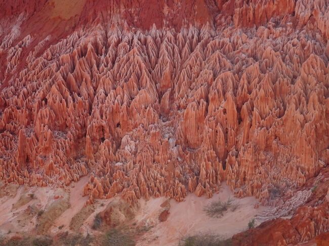 レッド・ツゥンギー