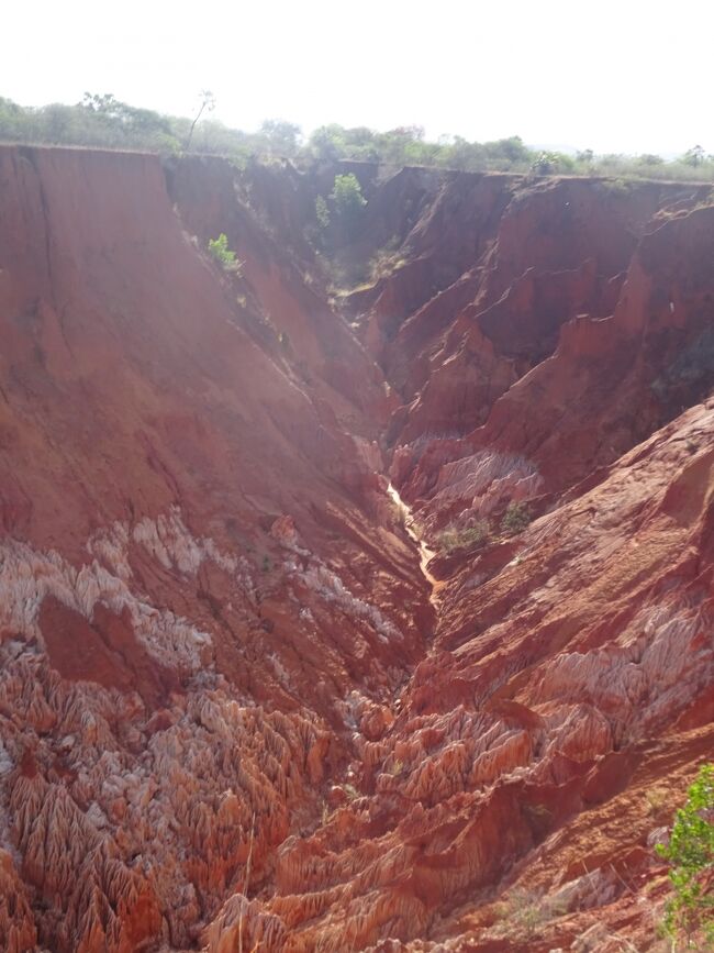 レッド・ツィンギー（３億年前はサンゴで出来、隆起しました。雨と火山で赤土が地滑りを起こして生成された。砂岩は壊れやすい。）