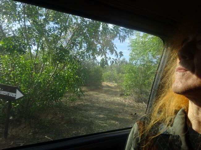 （車窓風景）分れ道（一方通行の所）