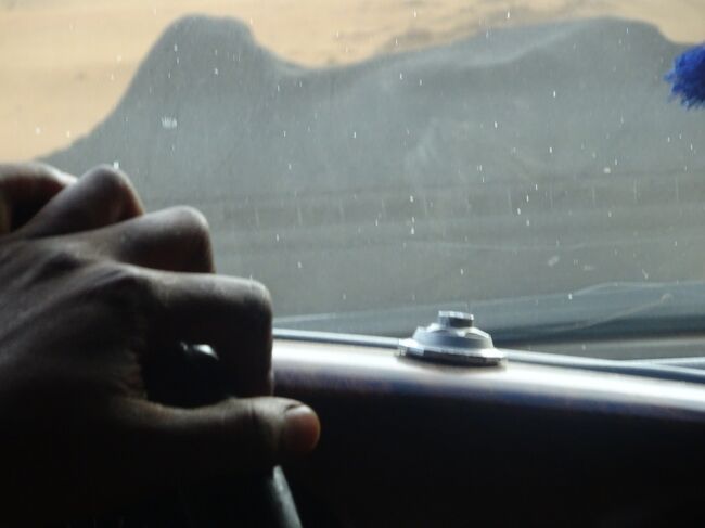 （車窓風景）突然、ゼブ牛に出会いました。