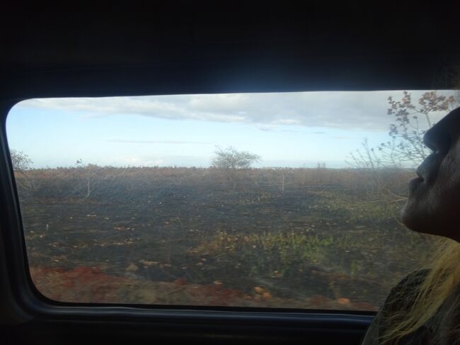 （車窓風景）焼き畑