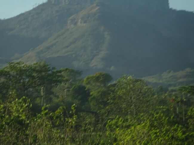 （車窓風景）山