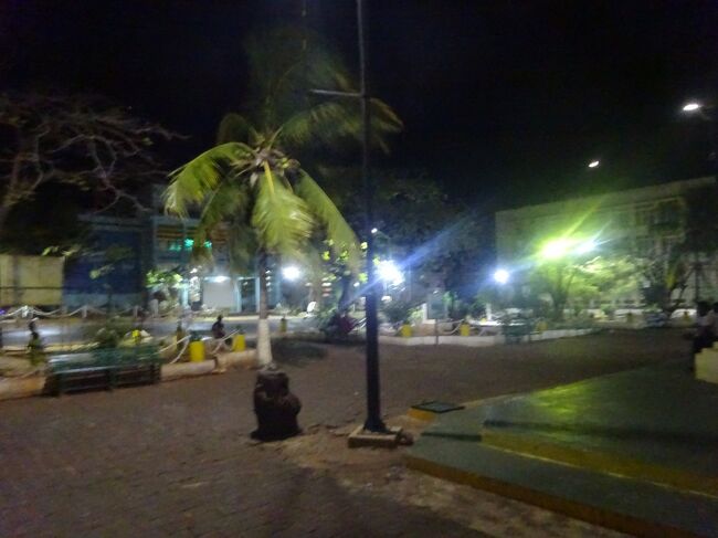 夜中に近くのフォシュ公園まで散策します。