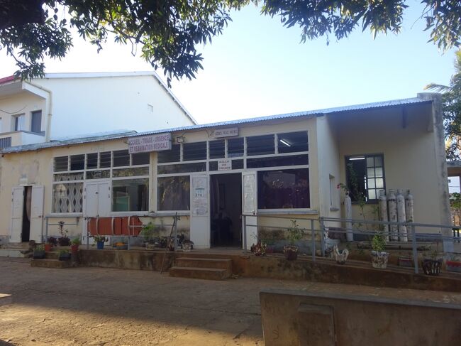 外来のようです。