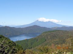 富士山は雲がかかって年賀状用にはどうかなあ？？