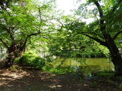 さて、本日宿泊の旅館へレッツゴー♪。